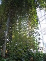 Michigans West Coast 2009 0580